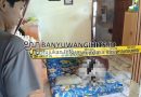 Diduga Minum Pestisida Warga Grajagan Banyuwangi Ditemukan Meninggal Dunia di Rumahnya