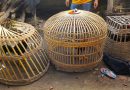 Polresta Banyuwangi Tindak Tegas Praktik Sabung Ayam di Purwoharjo, Dalami Dugaan Keterlibatan Pihak Lain