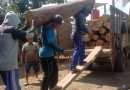 Diduga Ilegal, 25 Batang Kayu Jati Diamankan dari Rumah Kosong di Sumberagung Pesanggaran