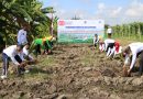 Gerakan Ketahanan Pangan, Lapas Banyuwangi Tanam Ratusan Bibit Kelapa di SAE Pakis
