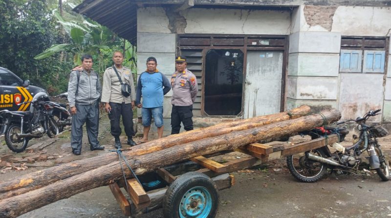 Wow, Polhutmob KPH Banyuwangi Selatan Amankan 38 Batang Kayu Jati Ilegal
