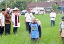 Alhamdulillah Program Ketahanan Pangan Presiden Prabowo Sangat Dirasakan Petani Banyuwangi Alhamdulillah Program Ketahanan Pangan Presiden Prabowo Sangat Dirasakan Petani Banyuwangi
