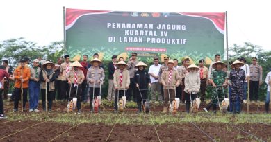 Polresta Banyuwangi Dukung Ketahanan Pangan Lewat Penanaman Jagung di Lahan Green Farm Karangsari Polresta Banyuwangi Dukung Ketahanan Pangan Lewat Penanaman Jagung di Lahan Green Farm Karangsari