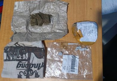 Peredaran Ganja di Rogojampi Terungkap, Polresta Banyuwangi Amankan Satu Pelaku. Peredaran Ganja di Rogojampi Terungkap, Polresta Banyuwangi Amankan Satu Pelaku.