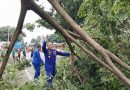 Satpolairud Polresta Banyuwangi Atasi Pohon Tumbang Akibat Cuaca Ekstrem di Jalan Situbondo-Banyuwangi. Satpolairud Polresta Banyuwangi Atasi Pohon Tumbang Akibat Cuaca Ekstrem di Jalan Situbondo-Banyuwangi.