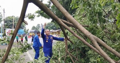 Satpolairud Polresta Banyuwangi Atasi Pohon Tumbang Akibat Cuaca Ekstrem di Jalan Situbondo-Banyuwangi. Satpolairud Polresta Banyuwangi Atasi Pohon Tumbang Akibat Cuaca Ekstrem di Jalan Situbondo-Banyuwangi.