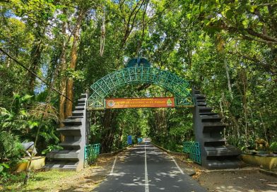 Wisatawan Wajib Tahu, Taman Nasional Alas Purwo Banyuwangi Tutup Selama Lebaran 2026. Wisatawan Wajib Tahu, Taman Nasional Alas Purwo Banyuwangi Tutup Selama Lebaran 2026.