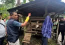 Pria 56 Tahun Ditemukan Meninggal Dunia di Kandang Kambing Desa Grogol Banyuwangi, Polisi Lakukan Olah TKP.