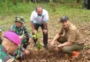 Cegah Abrasi dan Banjir, Perhutani KPH Banyuwangi Selatan Tanam Pohon Mahoni Seluas 44 Hektar di Hutan Lindung Pulau Merah.