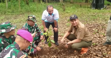 Cegah Abrasi dan Banjir, Perhutani KPH Banyuwangi Selatan Tanam Pohon Mahoni Seluas 44 Hektar di Hutan Lindung Pulau Merah.