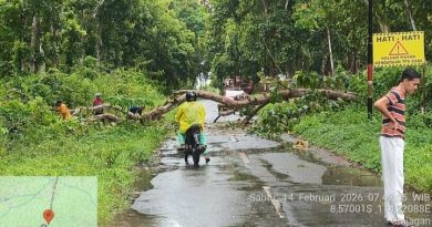 Hujan Disertai Angin Akibatkan Pohan Jati di Purwoharjo Tumbang Tutup Jalan. Hujan Disertai Angin Akibatkan Pohan Jati di Purwoharjo Tumbang Tutup Jalan.
