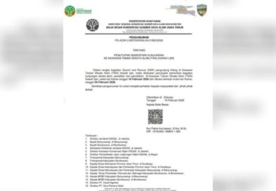 TWA Kawah Ijen Banyuwangi Ditutup Total Selama Delapan Hari untuk Evaluasi dan Keamanan.