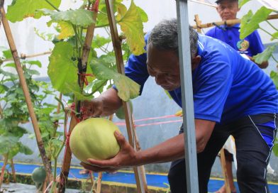 Lapas Banyuwangi Buktikan Lahan Terbatas Tak Halangi Dukungan pada Program Swasembada Pangan.
