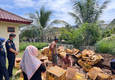 Tak Kantongi Izin, KKP Musnahkan Ratusan Kilogram Kulit Hiu dan Pari Ilegal di Banyuwangi. Tak Kantongi Izin, KKP Musnahkan Ratusan Kilogram Kulit Hiu dan Pari Ilegal di Banyuwangi.