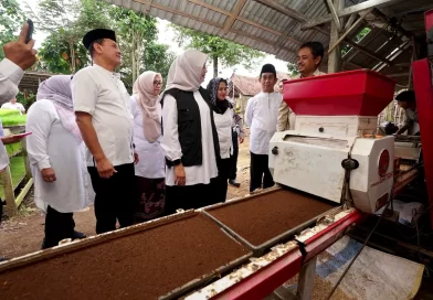 Bupati Banyuwangi Dukung Swasembada Pangan dengan Ajak Anak Muda Terjun ke Pertanian Modern. Bupati Banyuwangi Dukung Swasembada Pangan dengan Ajak Anak Muda Terjun ke Pertanian Modern.