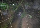 Hujan Deras di Licin Banyuwangi Sebabkan Air Meluap ke Pemukiman Warga Tamansari.