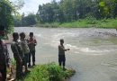 Bocah 8 Tahun Hanyut di Sungai Kalibaru Glenmore Banyuwangi, Tim Gabungan Lakukan Pencarian.