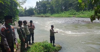 Bocah 8 Tahun Hanyut di Sungai Kalibaru Glenmore Banyuwangi, Tim Gabungan Lakukan Pencarian.