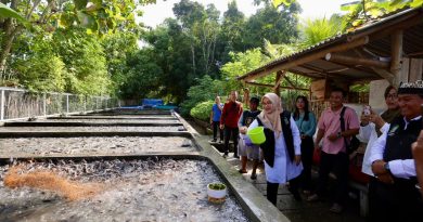 Pemuda Banyuwangi Sukses Budidaya Lele Sistem Air Jernih, Raup Omzet Ratusan Juta per Bulan.