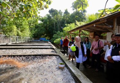 Pemuda Banyuwangi Sukses Budidaya Lele Sistem Air Jernih, Raup Omzet Ratusan Juta per Bulan.