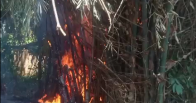 Kebakaran Rumpun Bambu di Wongsorejo Bikin Warga Panik, Api Nyaris Merambat ke Permukiman. Kebakaran Rumpun Bambu di Wongsorejo Bikin Warga Panik, Api Nyaris Merambat ke Permukiman.