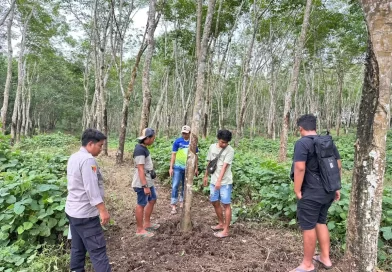 Polresta Banyuwangi Ungkap Pencurian Sapi di Glenmore, Dua Tersangka Termasuk Penadah Diamankan.