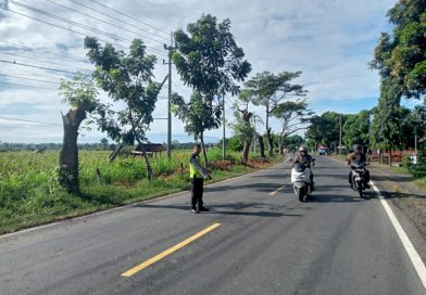 Motor Tabrak Truk Fuso di Jalan Raya Nasional Banyuwangi-Situbondo, Akibatkan Pengendara Meninggal Dunia.