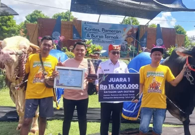 Kontes Pameran Sapi 2026 Menjadi Ajang Memperkenalkan Peternakan Unggulan di Banyuwangi.