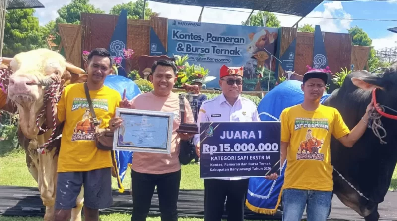 Kontes Pameran Sapi 2026 Menjadi Ajang Memperkenalkan Peternakan Unggulan di Banyuwangi.