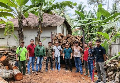 235 Batang Kayu Jati Diduga Ilegal Ditemukan Petugas Gabungan Polhutmob dan Polisi.