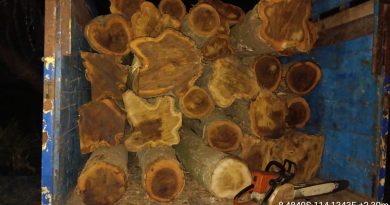 Polisi Tangkap 2 Pelaku Illegal Logging di Hutan KPH Banyuwangi Selatan, 28 Batang Kayu Jati Diamankan.