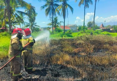 Api Lahap Lahan Ilalang di Dekat Kantor Kelurahan Sumberrejo Diduga Berasal Dari Pembakaran Sampah.
