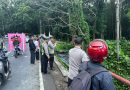 Diduga Sopir Mengantuk Kendaraan Jenis Truk Tercebur ke Sungai Sekitar Pasar Sapi Glenmore