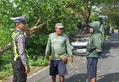 Tabrak Pohon di Jalan Raya Blimbingsari, Mobil Dhaihatsu Terios Terbalik Tabrak Pohon di Jalan Raya Blimbingsari, Mobil Dhaihatsu Terios Terbalik
