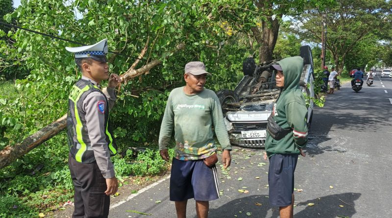 Tabrak Pohon di Jalan Raya Blimbingsari, Mobil Dhaihatsu Terios Terbalik Tabrak Pohon di Jalan Raya Blimbingsari, Mobil Dhaihatsu Terios Terbalik