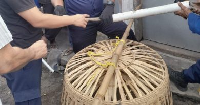 Resahkan Warga Muncar Petugas Damkar Banyuwangi Evakuasi Monyet Galak.