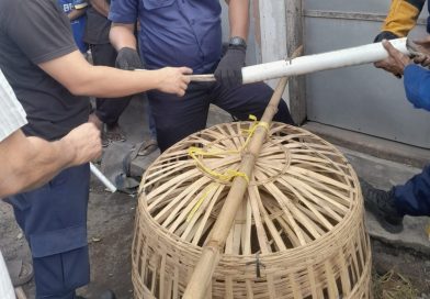 Resahkan Warga Muncar Petugas Damkar Banyuwangi Evakuasi Monyet Galak. Resahkan Warga Muncar Petugas Damkar Banyuwangi Evakuasi Monyet Galak.